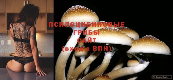 не бодяженный Абдулино