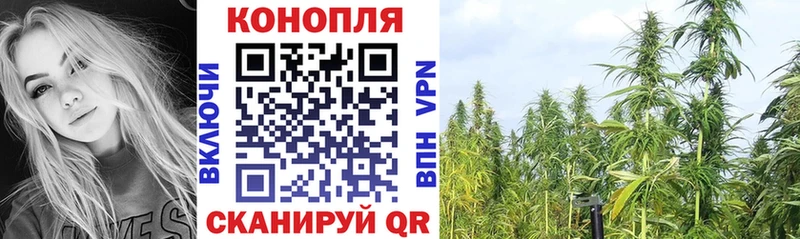 Каннабис Ganja  Серафимович 